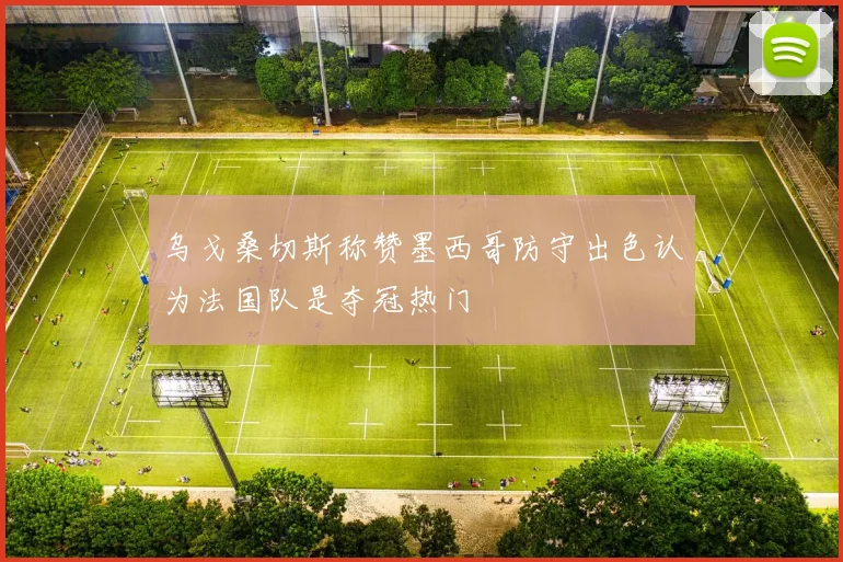 乌戈桑切斯称赞墨西哥防守出色认为法国队是夺冠热门